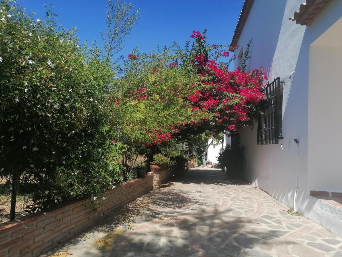 Casa Luis Villa Viñuela Екстериор снимка